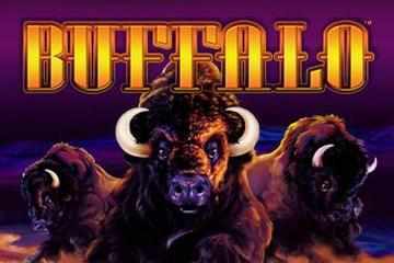 Buffalo pokie logo