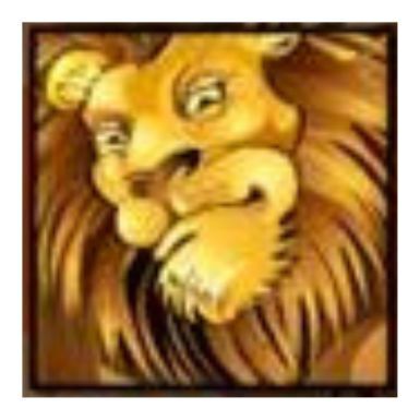 Mega Moolah Lion Symbol